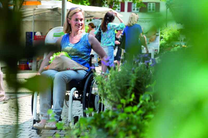 wheelchair shopping bag