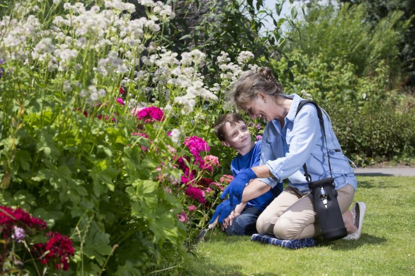 disabled gardening